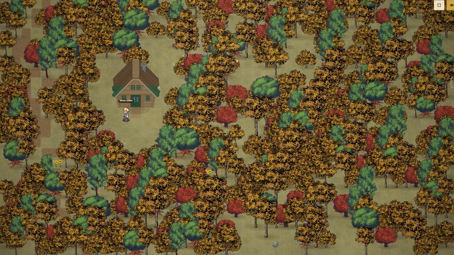 Into the woods
